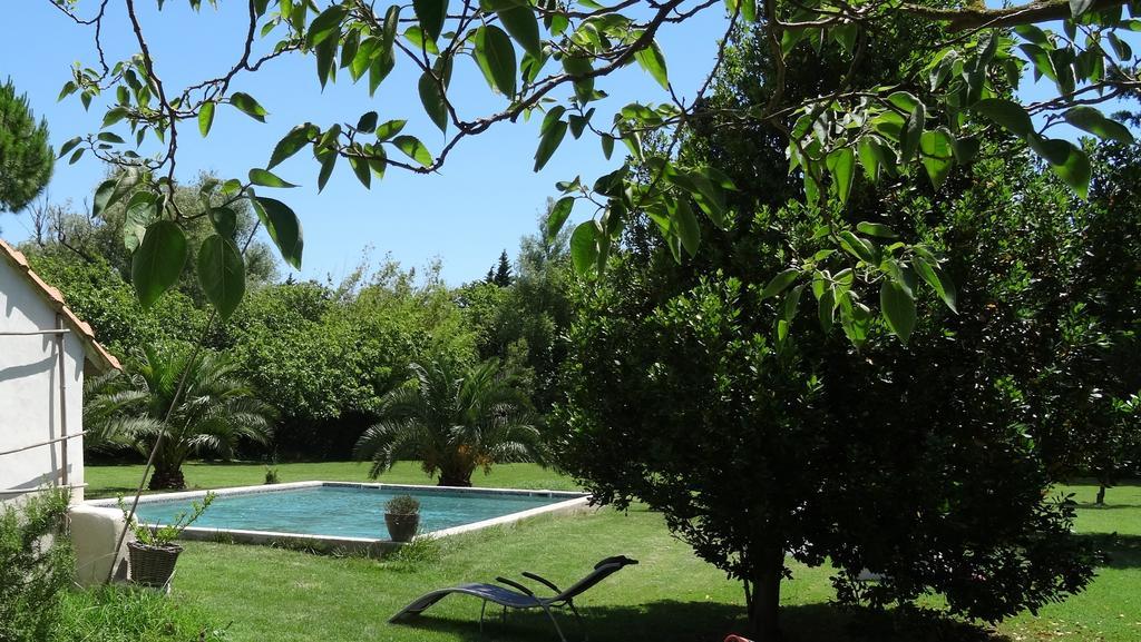 Bed and Breakfast Mas de Bouvet en Camargue à Albaron Extérieur photo