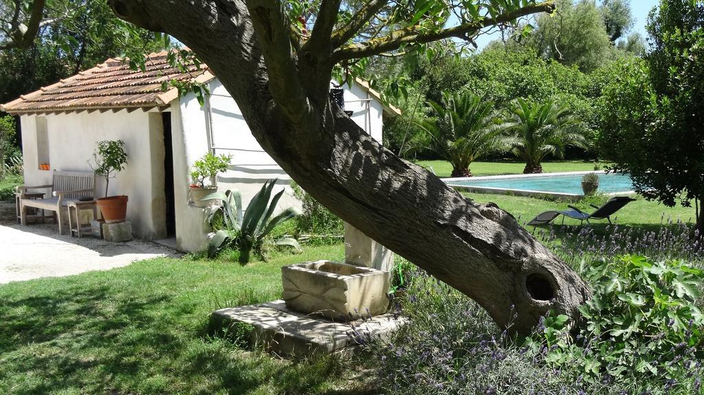 Bed and Breakfast Mas de Bouvet en Camargue à Albaron Extérieur photo
