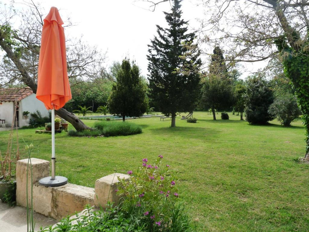 Bed and Breakfast Mas de Bouvet en Camargue à Albaron Extérieur photo