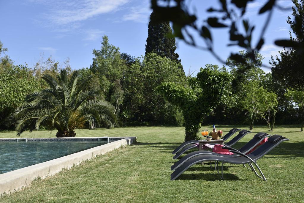 Bed and Breakfast Mas de Bouvet en Camargue à Albaron Extérieur photo