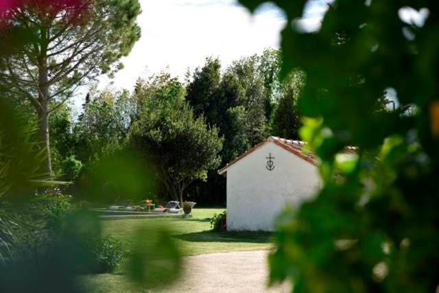 Bed and Breakfast Mas de Bouvet en Camargue à Albaron Extérieur photo