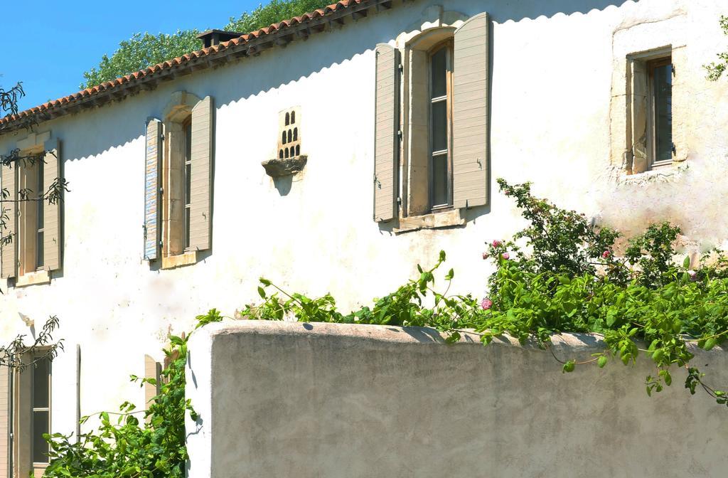 Bed and Breakfast Mas de Bouvet en Camargue à Albaron Extérieur photo